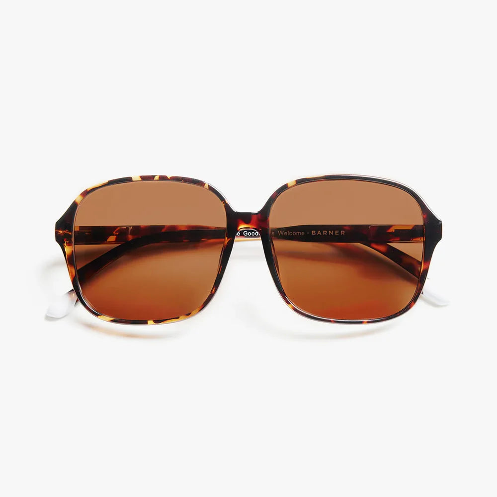 Pascal Polarised Sun Glasses