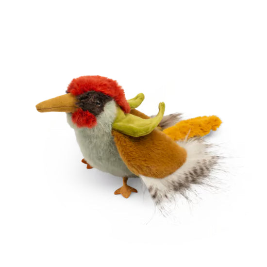 Green woodpecker Tout autour du monde