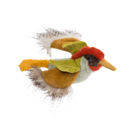 Green woodpecker Tout autour du monde